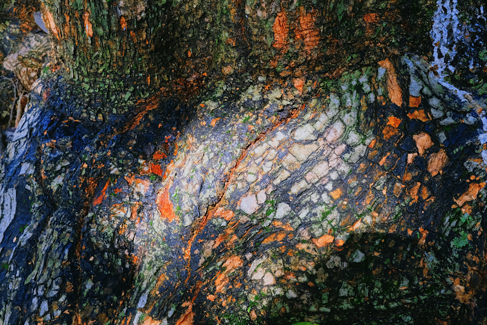 A River In The Forest / 1 Of 4 Photography Art | racheljeraffi