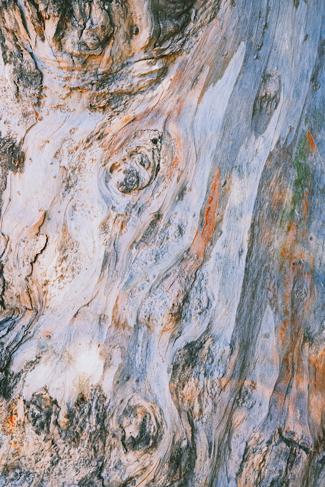 'eyes On U'/ 2 Of 2 Photography Art | racheljeraffi