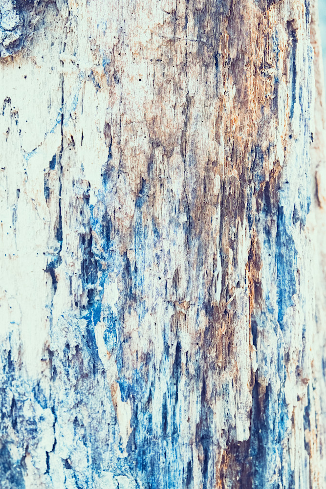 Rough Photography Art | racheljeraffi