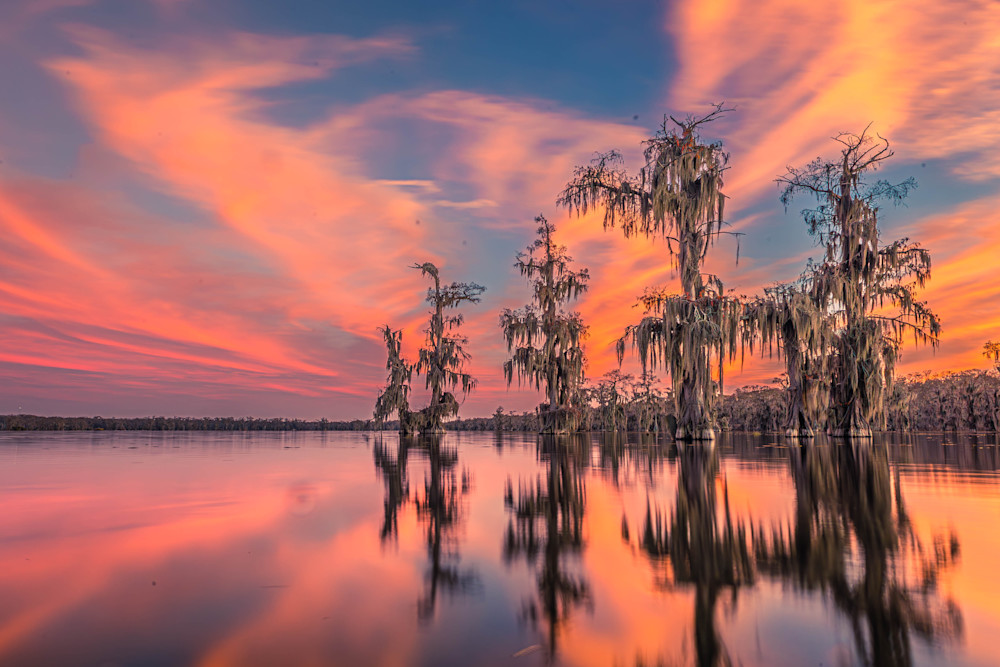 A Louisiana Bayou Curtain Call Photography Art | Justin Hammer Photography