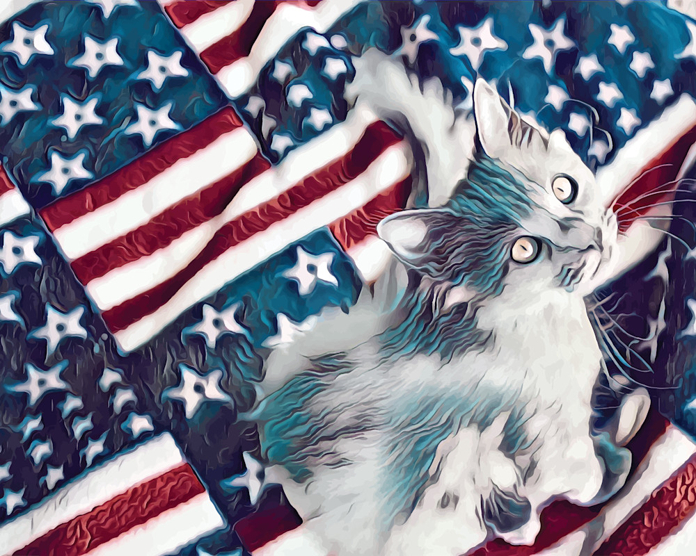 Cat_on_the_Fourth