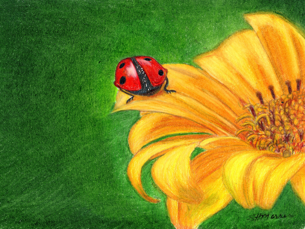 Ladybug On A Lily Art | SH Morris Art