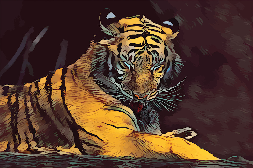 Tiger Licking