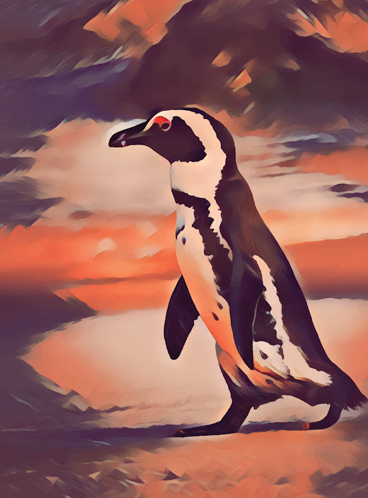 African Penguin Walking
