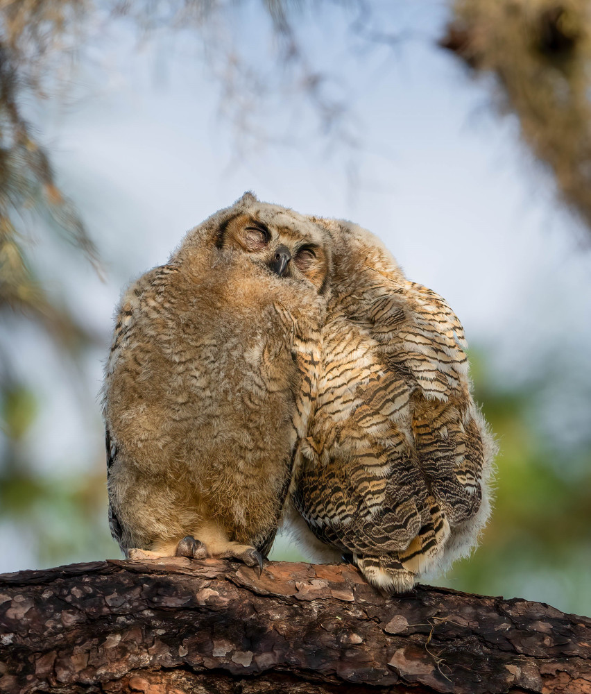 Lean On Me Photography Art | Jamey Binneveld Photography