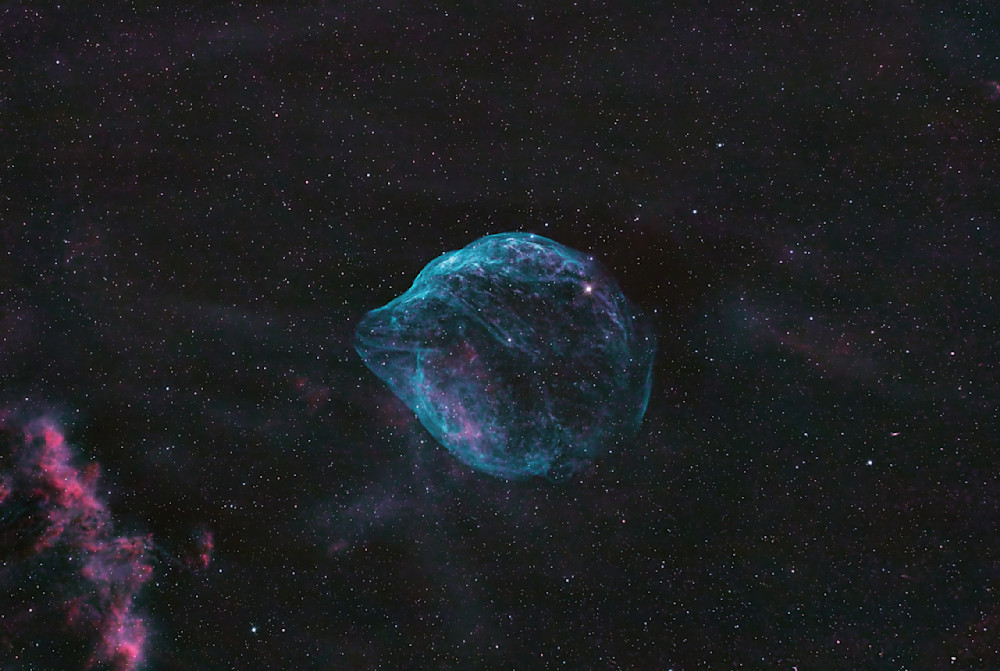 Dolphin Head Nebula