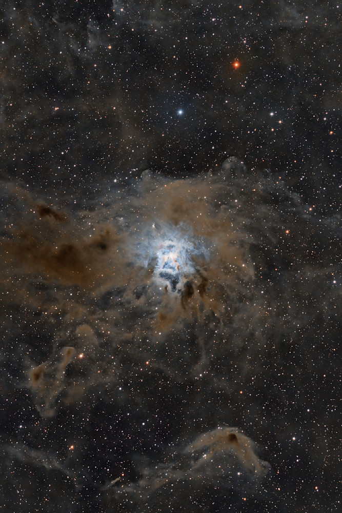 The Iris Nebula (also known as NGC 7023 and Caldwell 4) Close Up