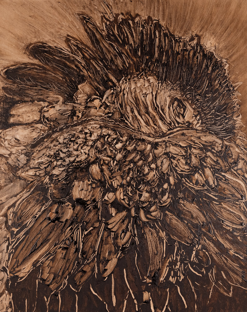 Macaw 2 Art | Scott Galbraith Creative Studio