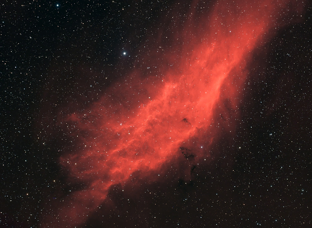 The California Nebula (NGC 1499/Sh2-220)