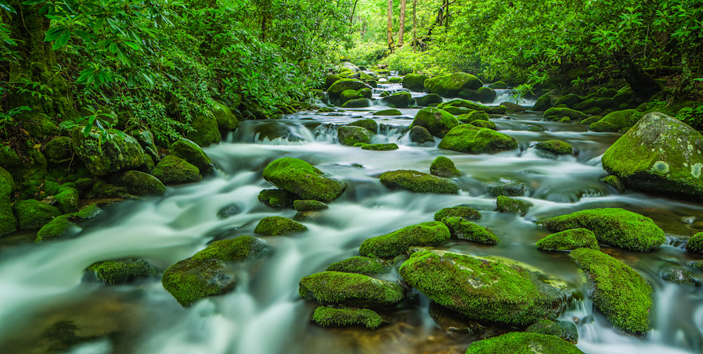 Roaring Fork Great Smokey Mountains Photography Art | Dale F Meyer Photography
