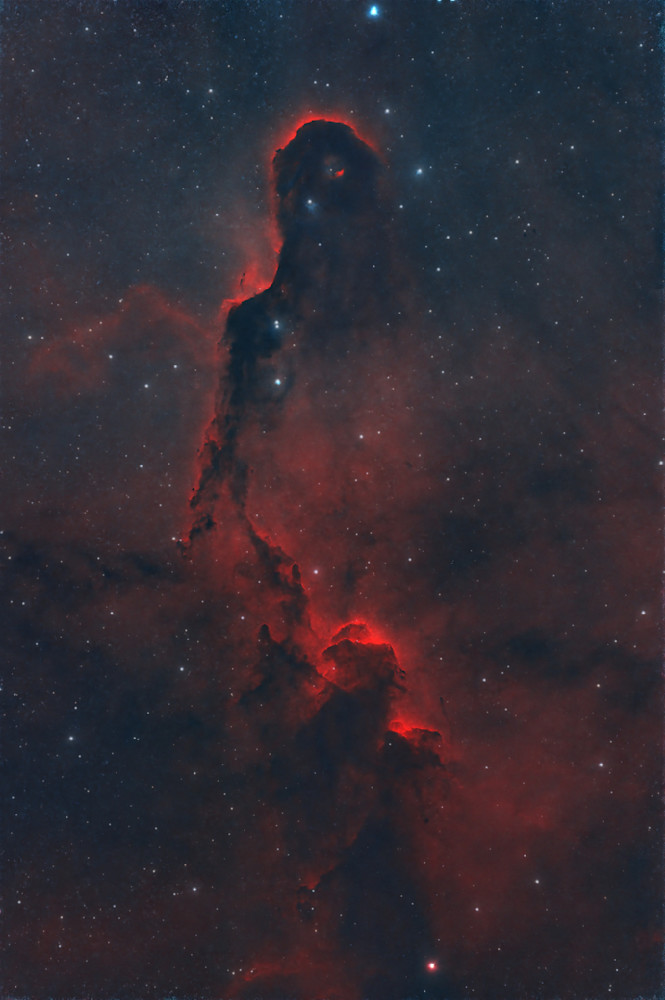 Elephant Trunk Nebula (Ic1396) In Foraxx Palette Photography Art | MaximAstroPhoto