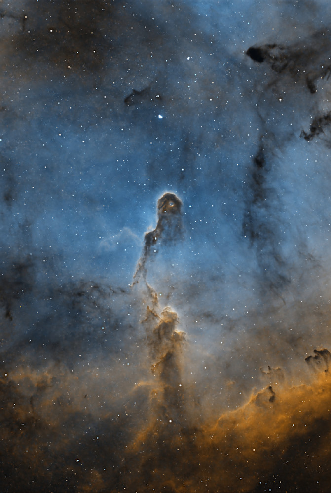 Elephant Trunk (Ic1396) In Hubble Palette   Closeup Photography Art | MaximAstroPhoto