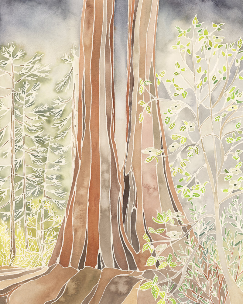 Calaveras Big Trees State Park Art | Claudia Savage Art