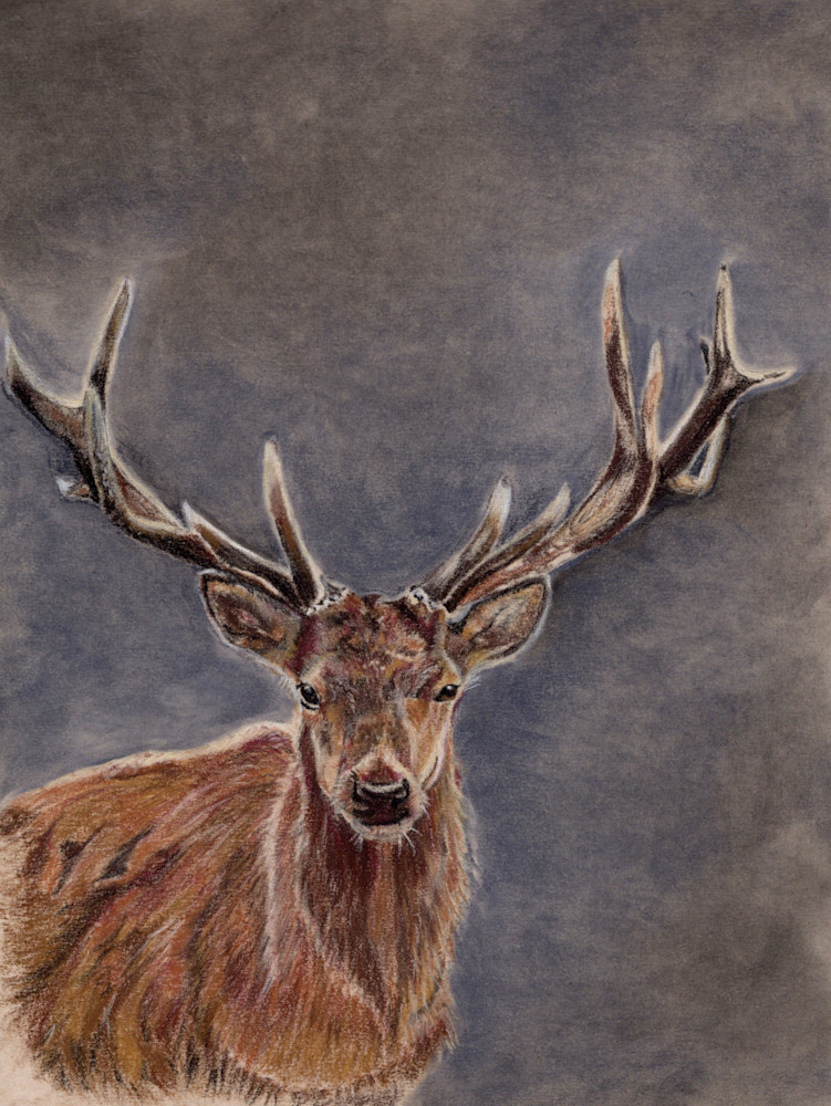 Winter Deer Art | Cole Farmhouse Art