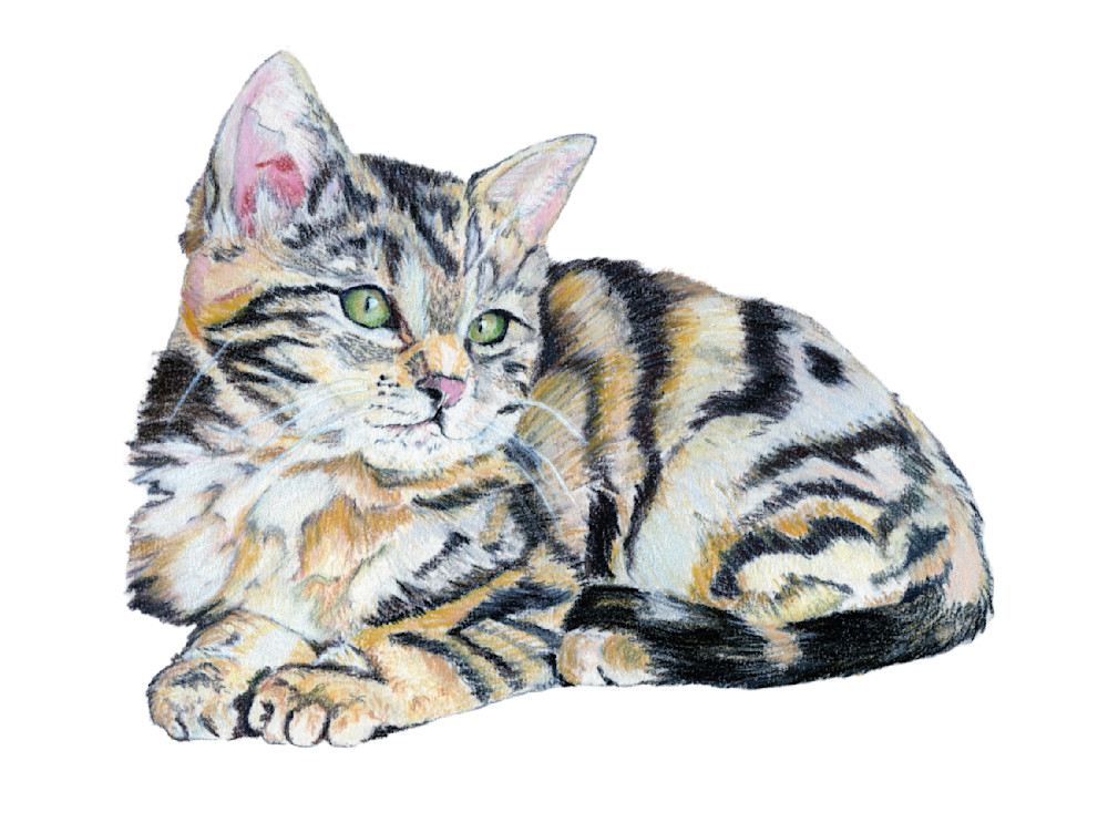 Pastel Tiger Cat (White Background) Art | Cole Farmhouse Art