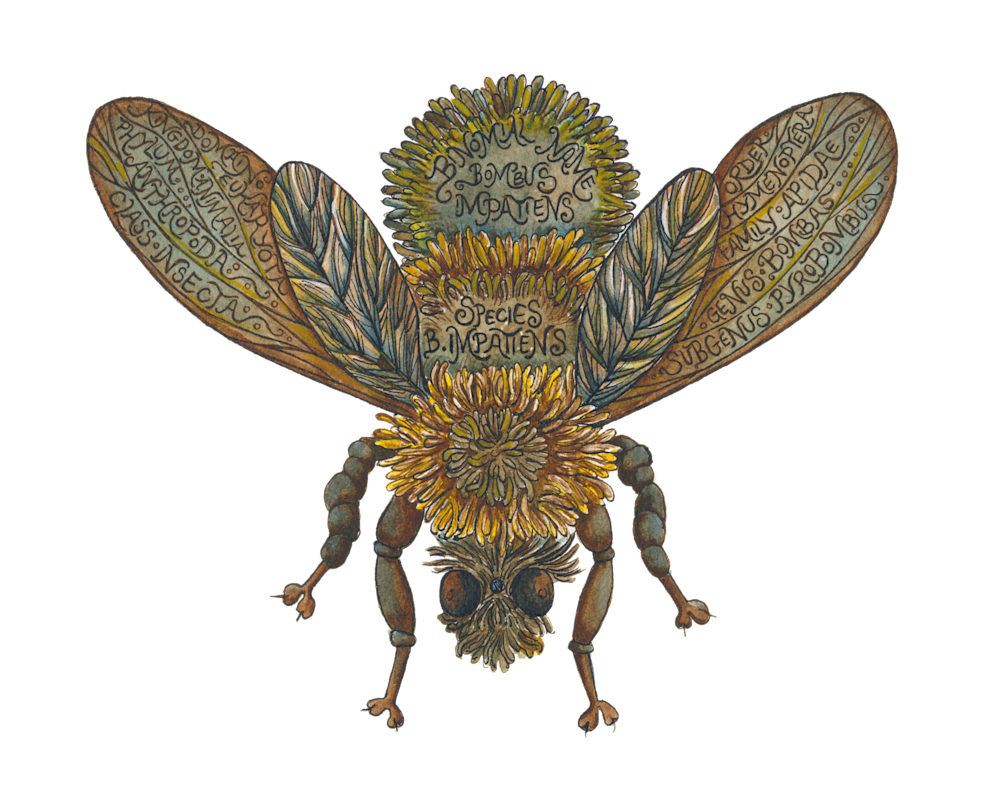 Bumblebee Art | Andrea Strongwater