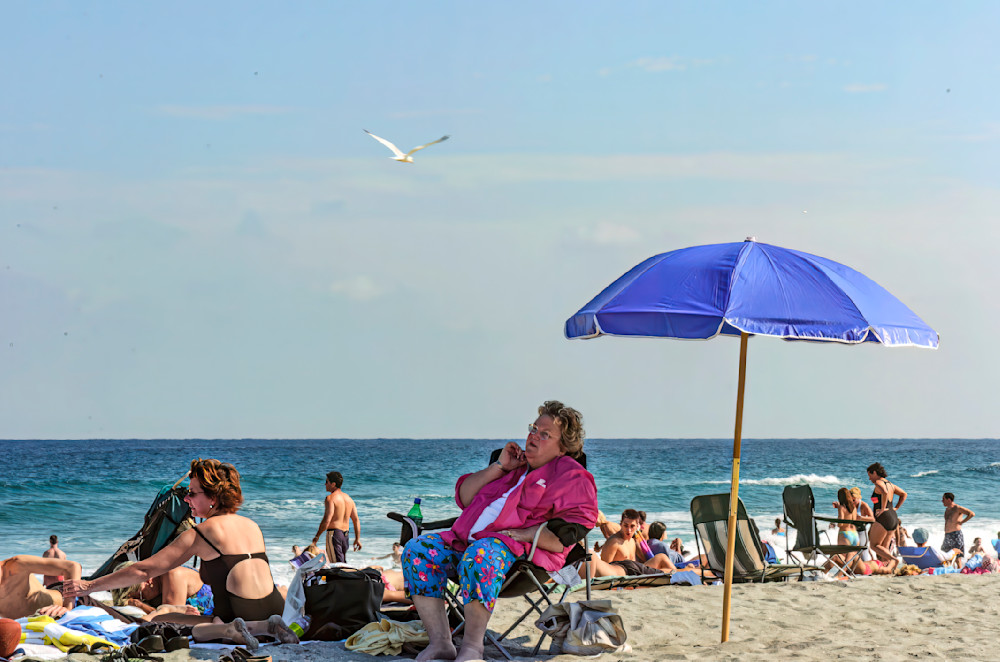 Delray Beach Seagull Photography Art | Robert Levy Photographics
