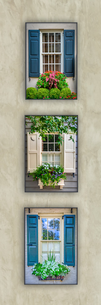 Window Box Winners #2   Vertical Photography Art | membymaryanne.com