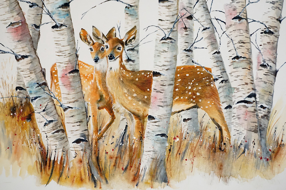 Deer In The Birch Art | Art by Alan Furst
