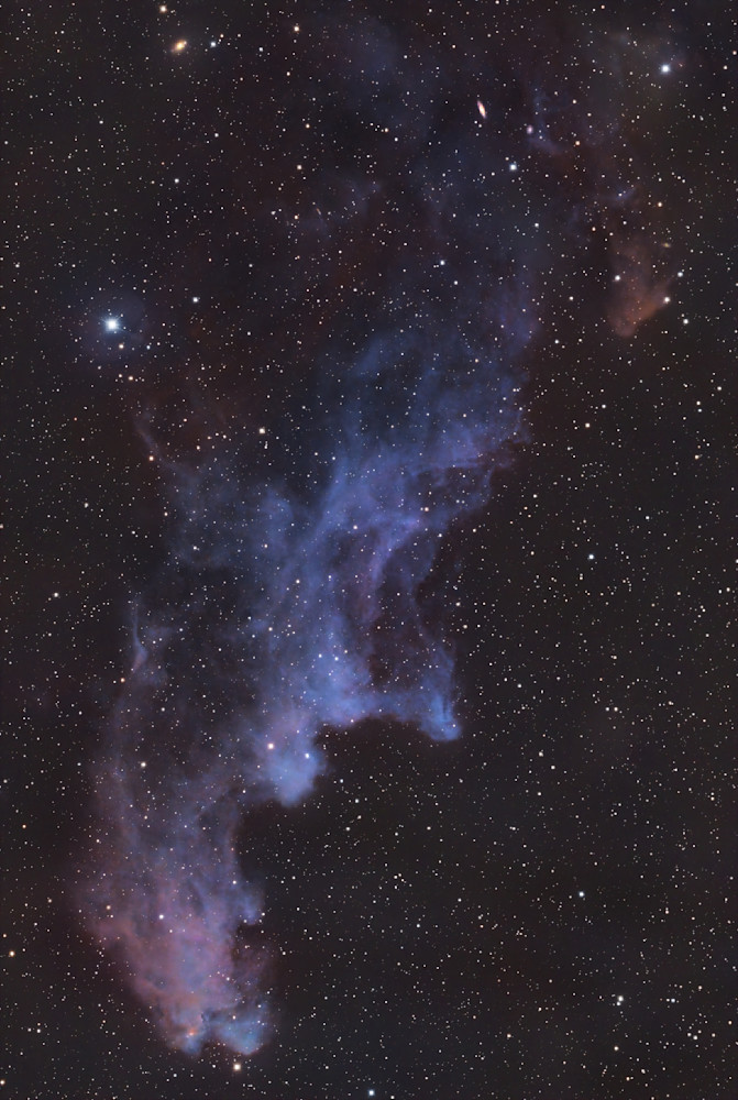 The Whitch Head Nebula (Ic 2118) Photography Art | MaximAstroPhoto