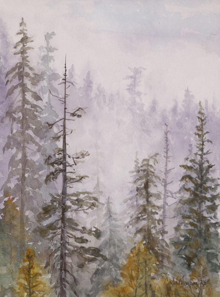 Misty Morning Art | The Art of Carla Morrison