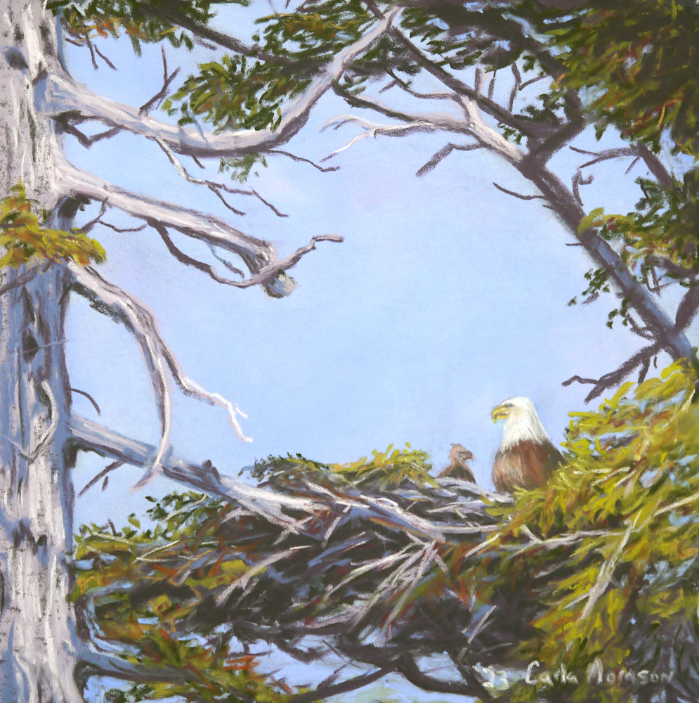 The Eagle's Nest Art | The Art of Carla Morrison