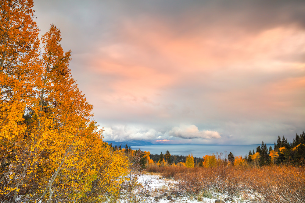 Aspens Above Lake Tahoe 19