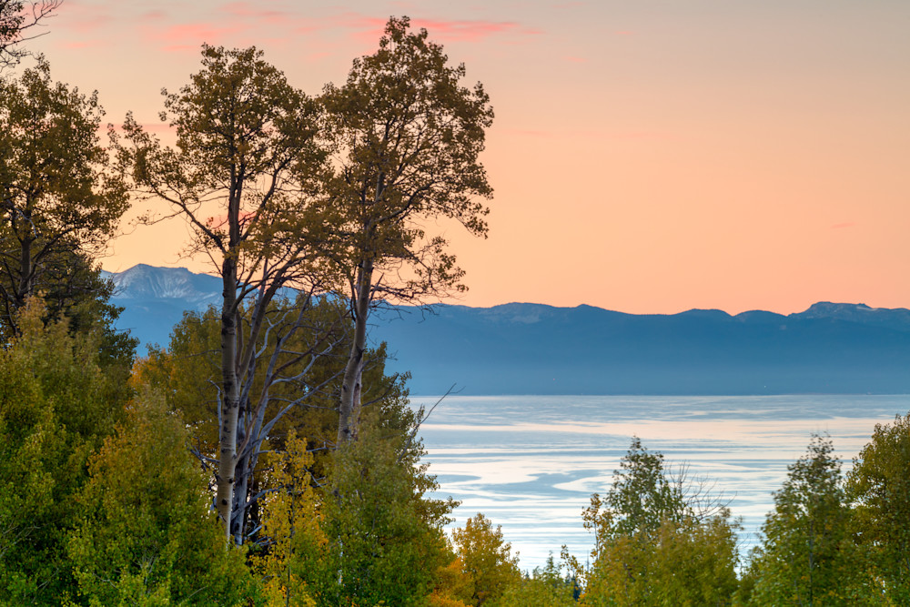 Aspens Above Lake Tahoe 6