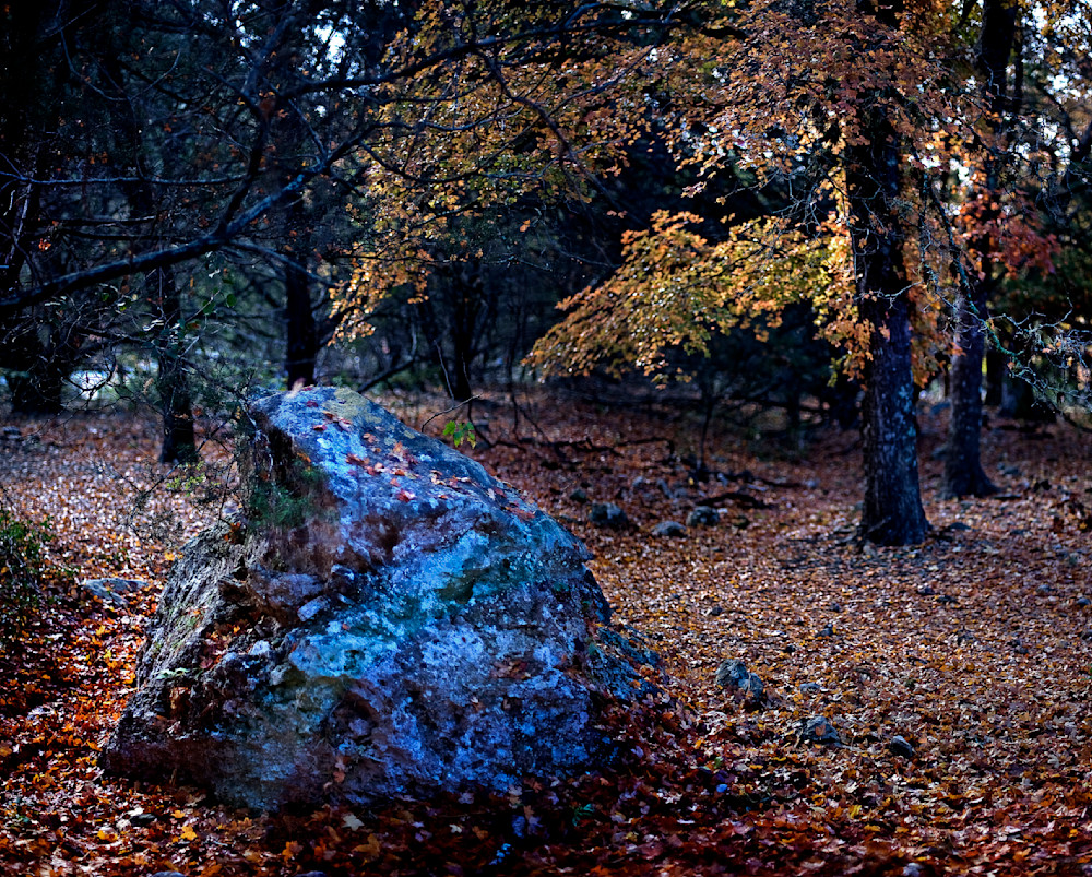 Lost Maples Landmark