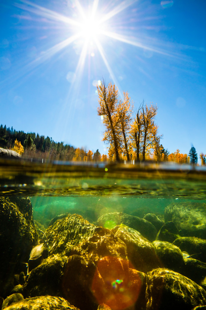 Truckee River in Autumn 20