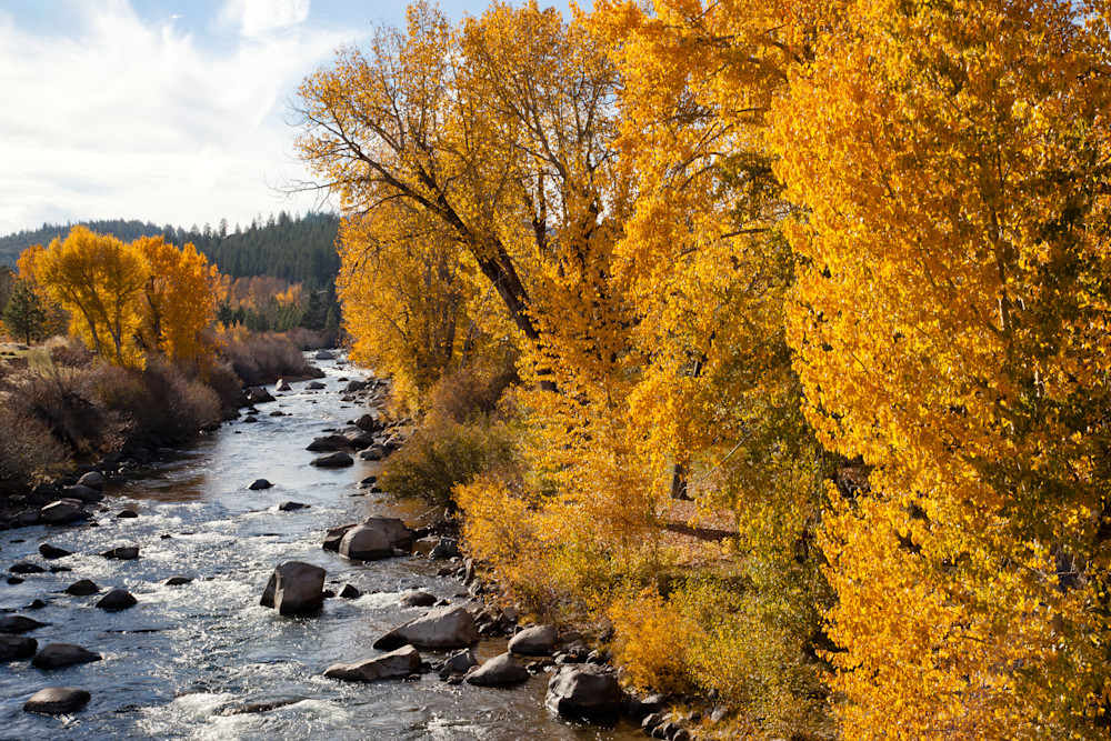 Truckee River in Autumn 3