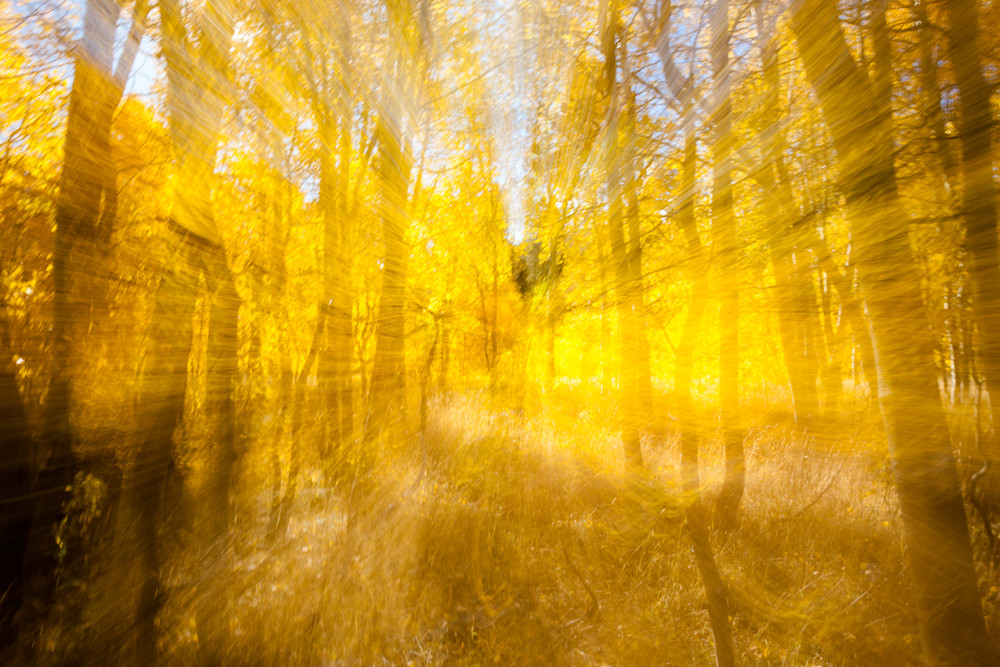 Aspen at Fredrick's Meadow 6