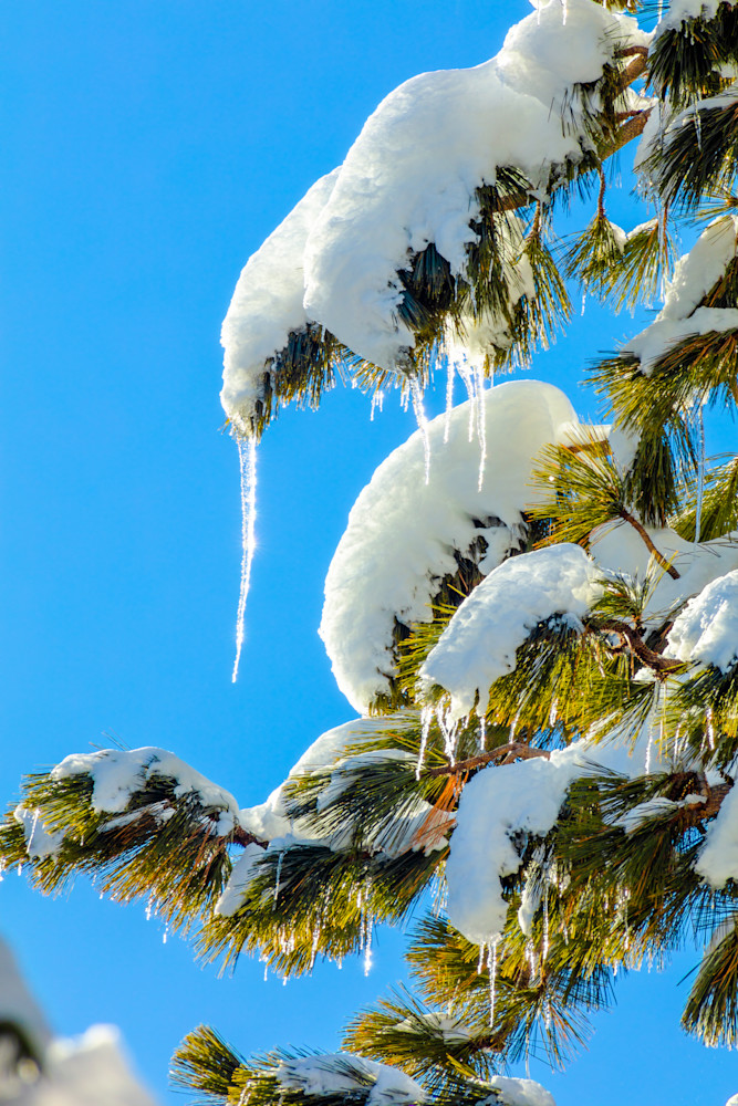 Icicles 4