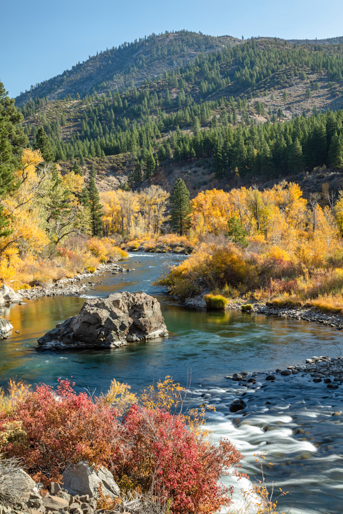 Truckee River in Autumn 28
