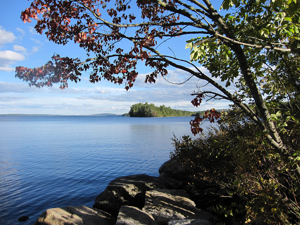 Million Dollar View, Weston, Maine Photography Art | Sandra S Newman Photographer
