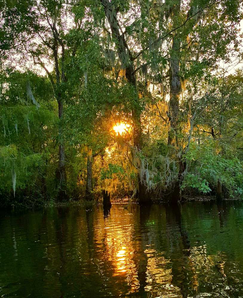 Sunset Ebenizer Creek Photography Art | Sandra S Newman Photographer