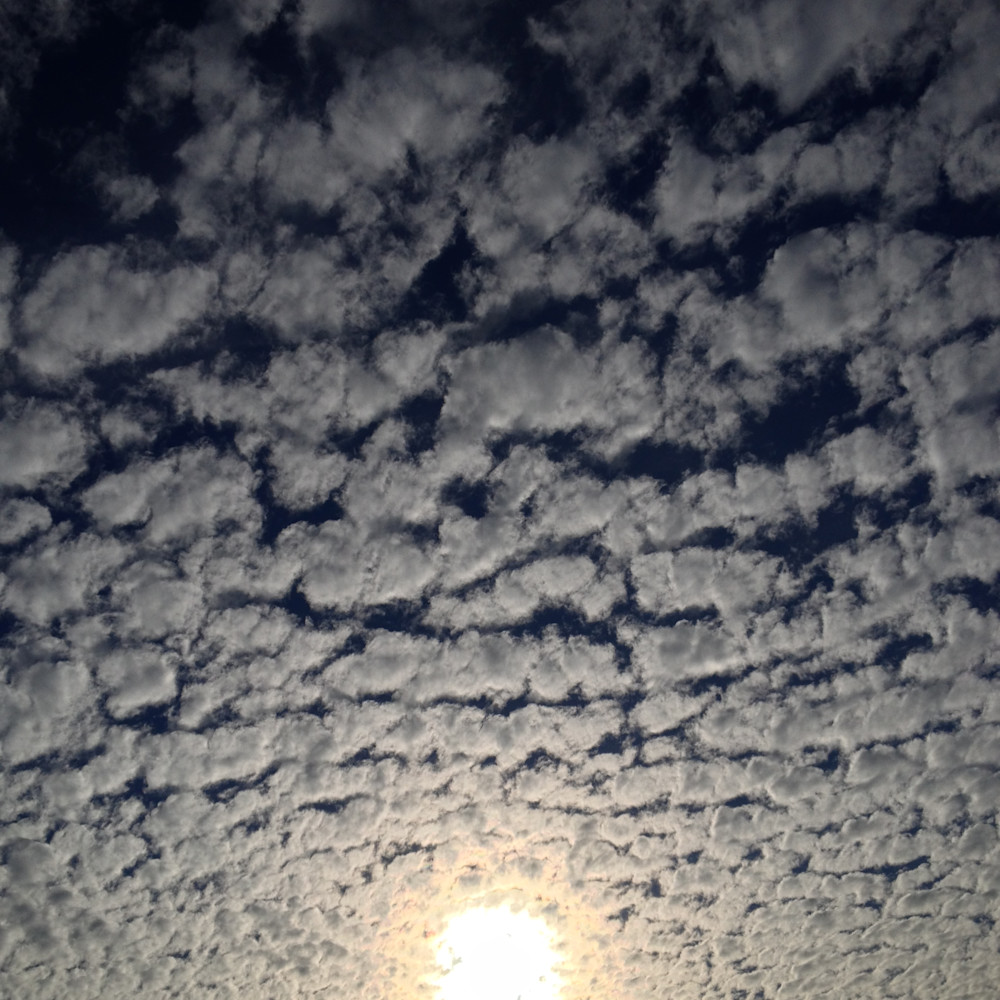 'counting The Sheep' Photography Art | brubakerfineartphotography