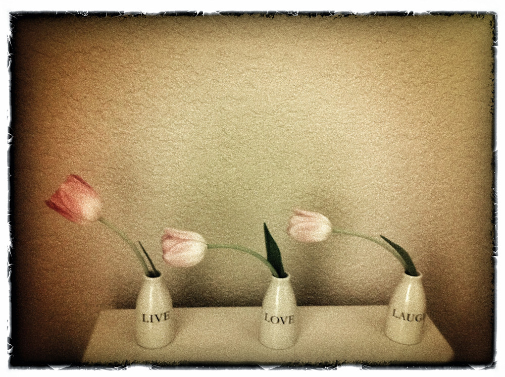 'live, Laugh, Love' Photography Art | brubakerfineartphotography