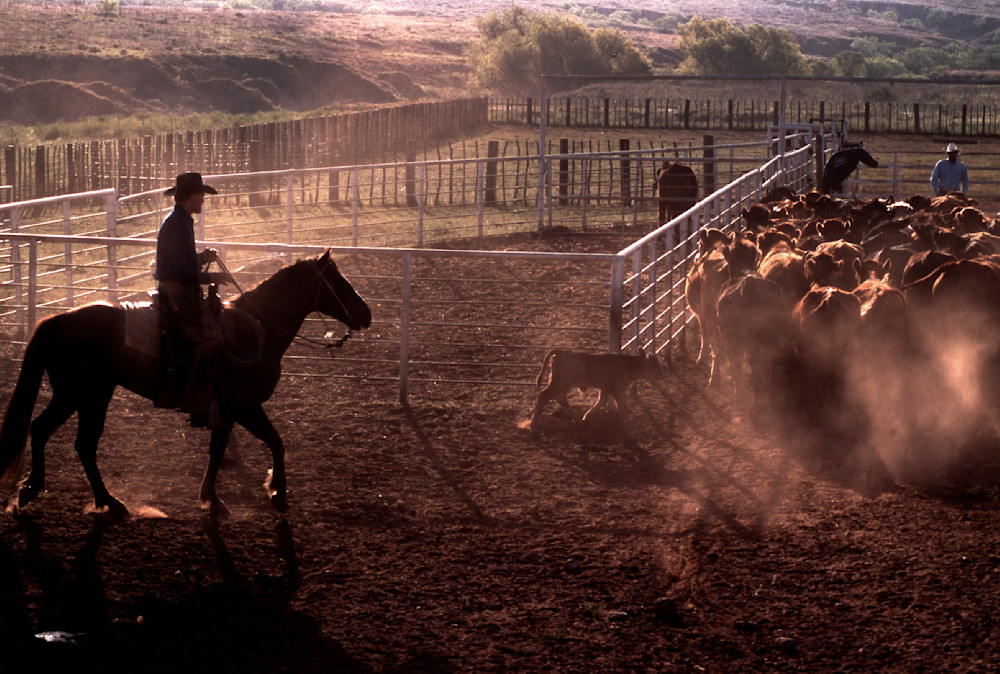 Texas Ranching