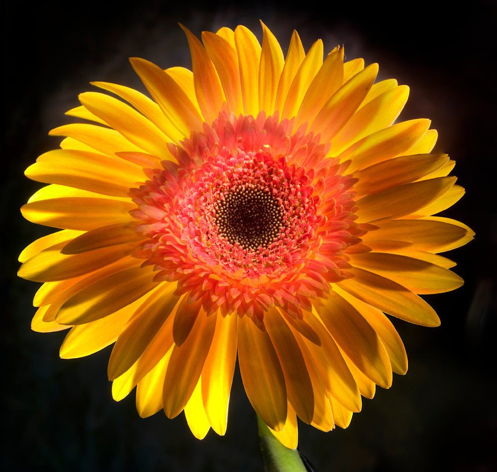 Gerber Lightpainting