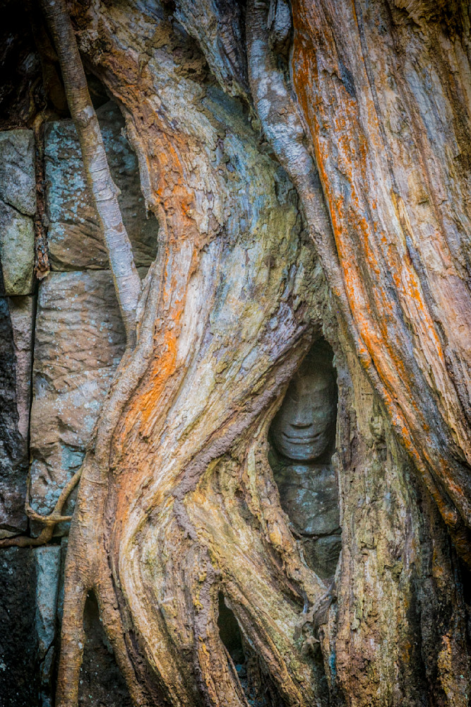 Embedded - Nature Meets Ancient Sculpture