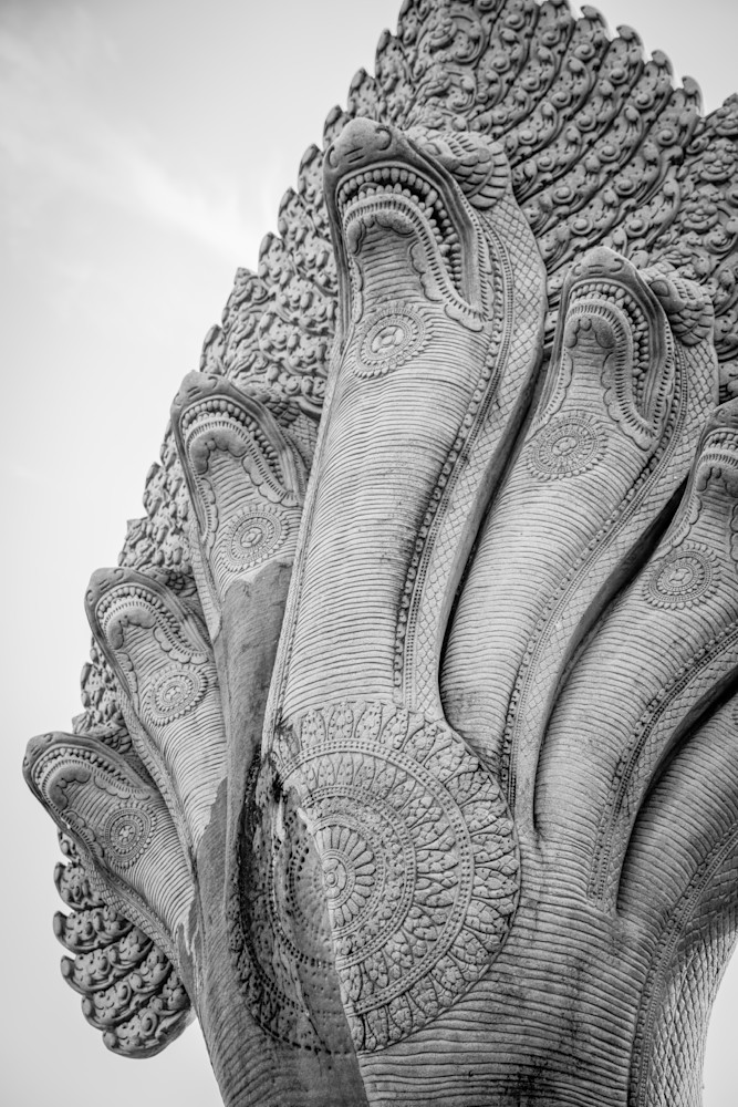 Snakes of Enlightenment