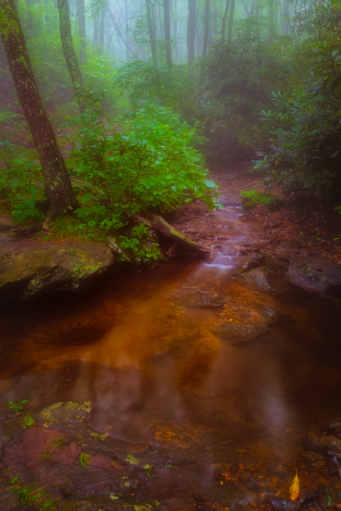 Foggy Morning Reflections