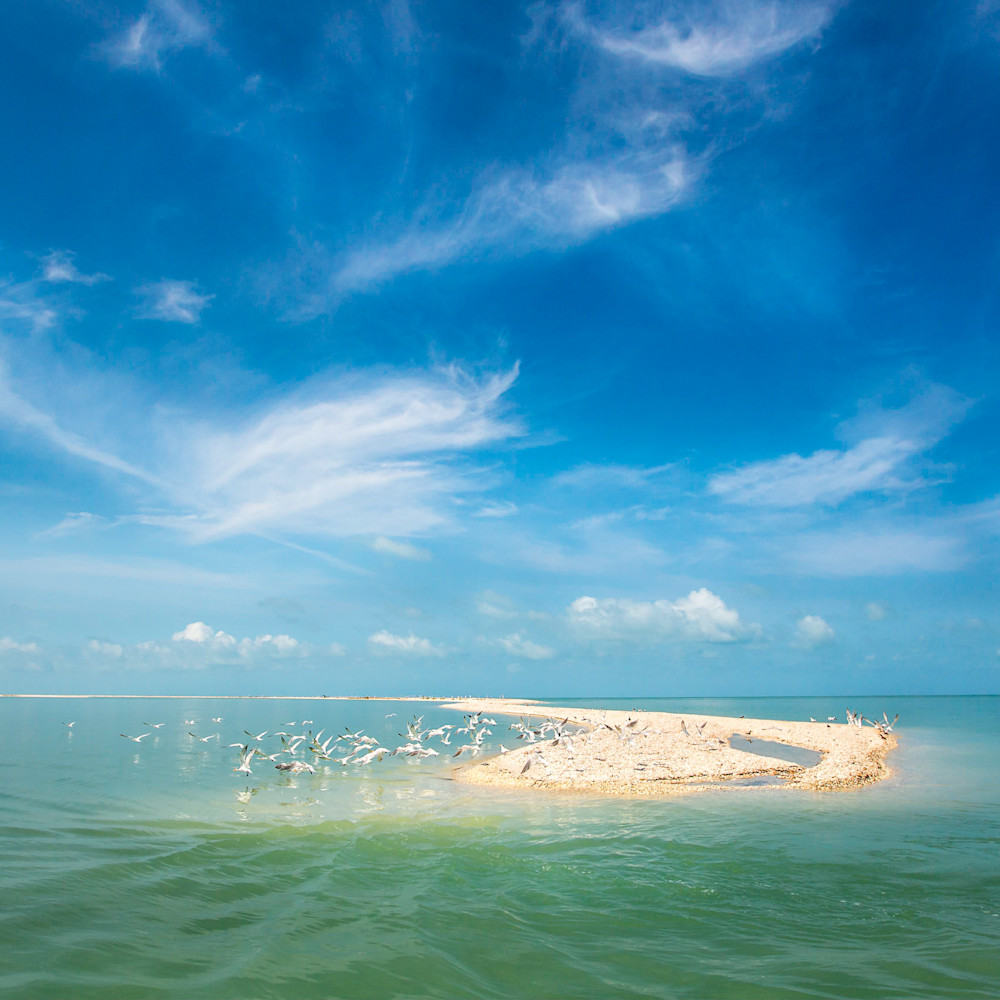 Cape Romano Island | Florida | FL | Dennis Goodman Photography