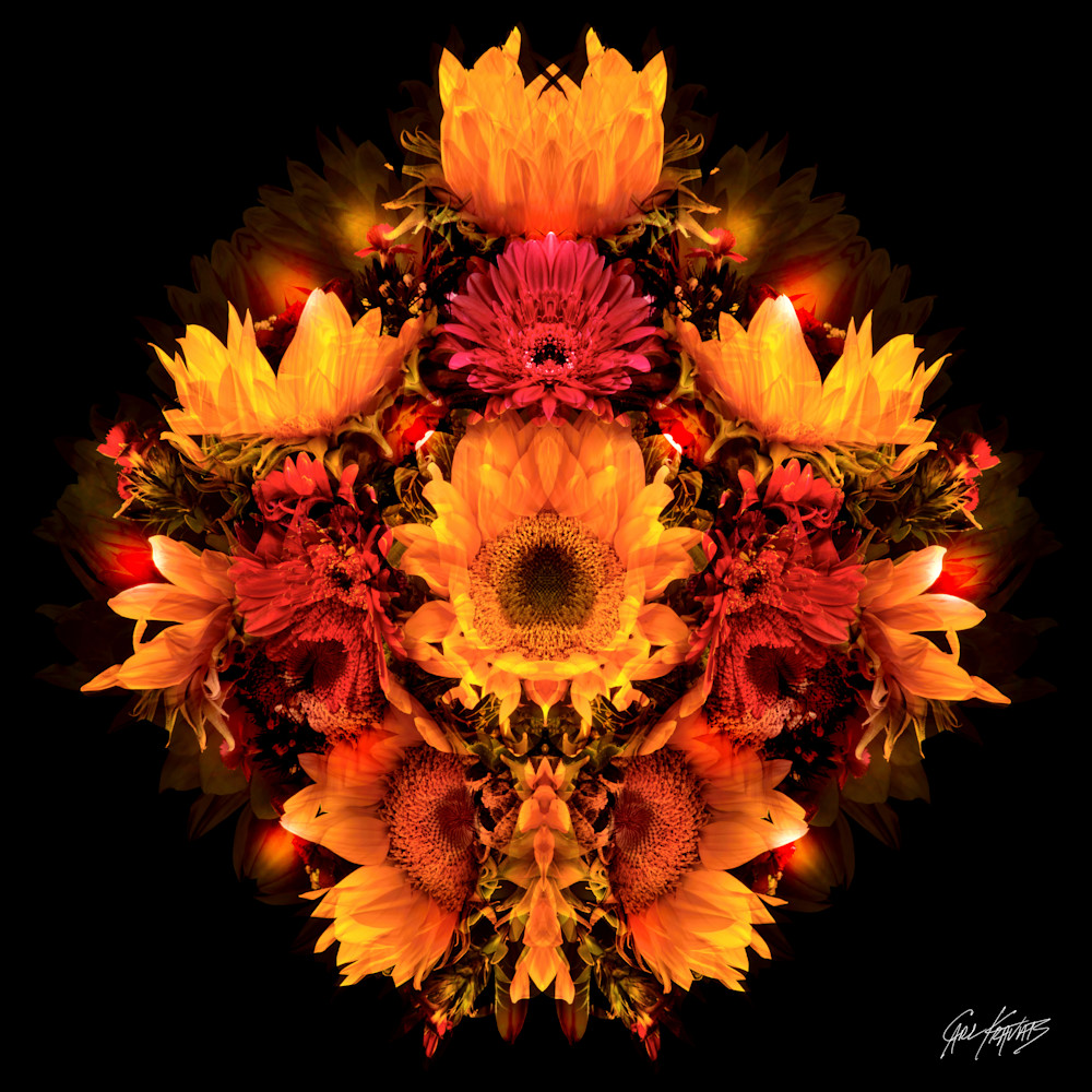 Sunflower Passion