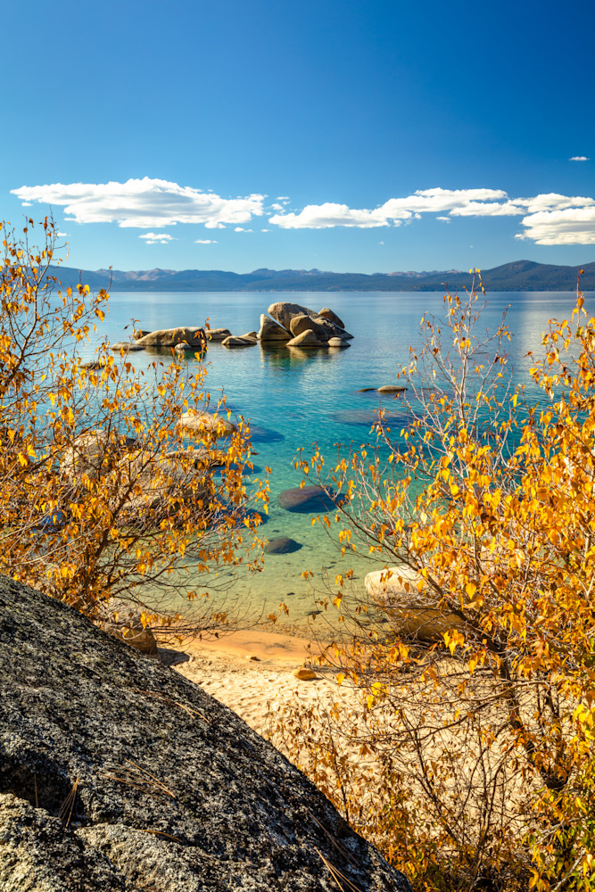 Whale Beach in Autumn 1