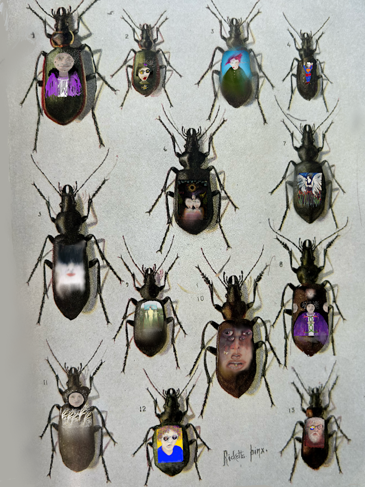 The Show Art | Cumulus-Art