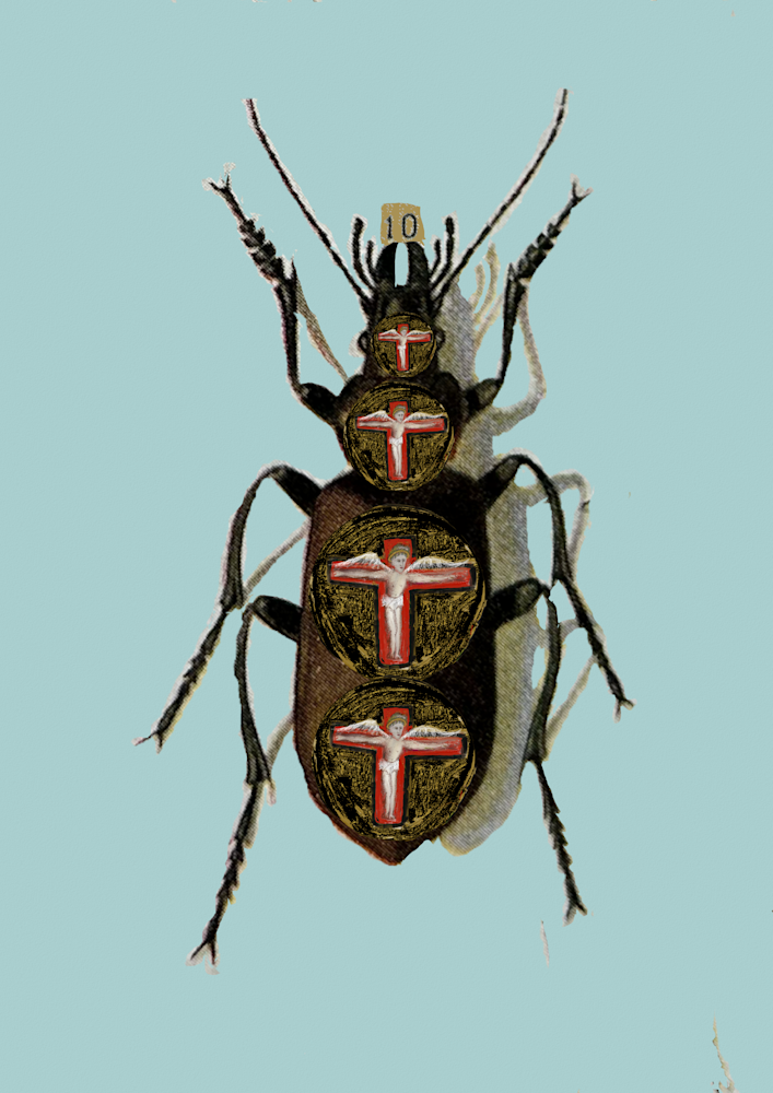 Sky Blue Angel Bug Art | Cumulus-Art