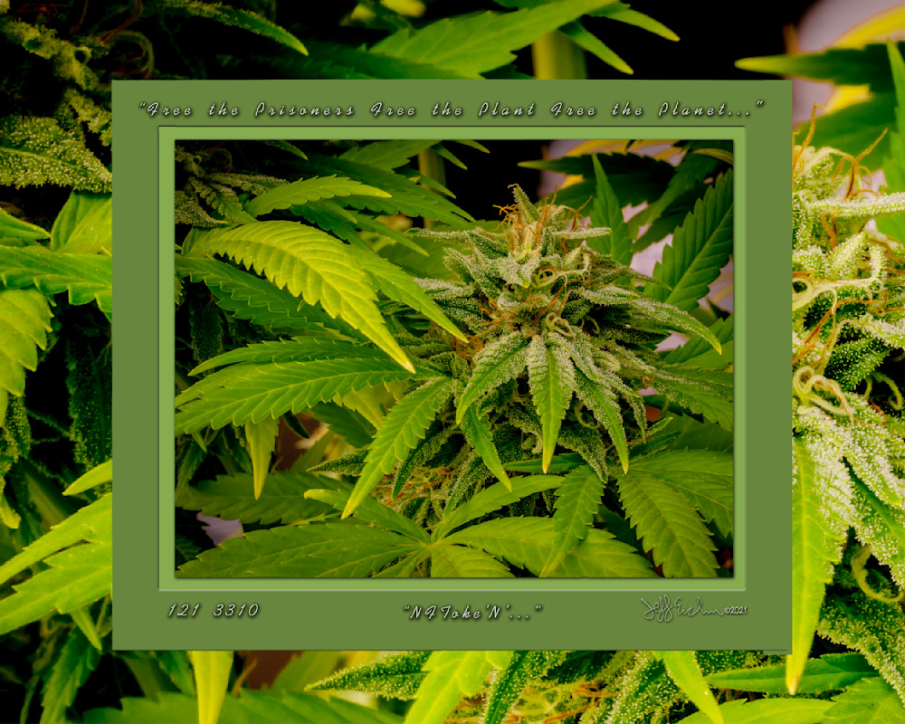 3310 Gold Wide Frame 16x20 Photography Art | Jeffrey Eichen