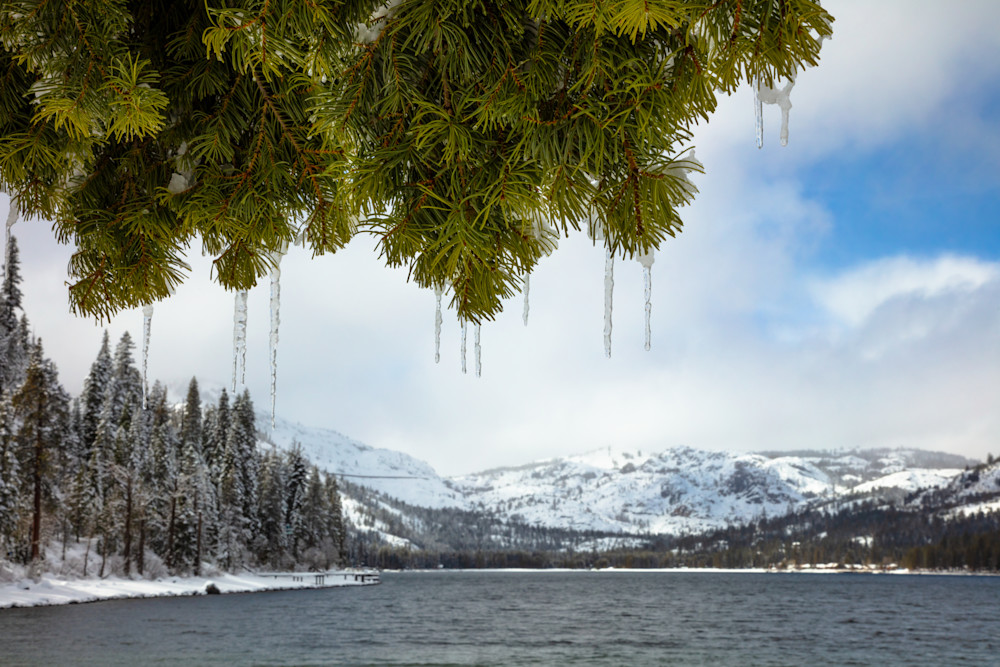 Icicles at Donner Lake 1